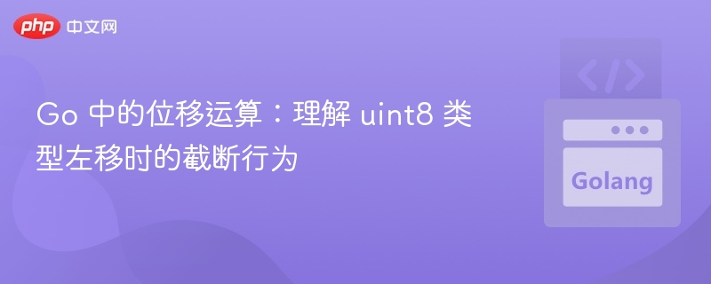 Go 中的位移运算:理解 uint8 类型左移时的截断行为