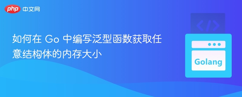 如何在 Go 中编写泛型函数获取任意结构体的内存大小