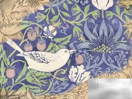 Strawberry Thief:邂逅古典西风