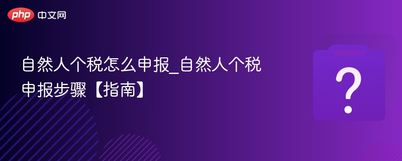 自然人个税怎么申报_自然人个税申报步骤【指南】