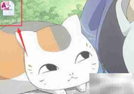 Access文本框控件来源设置方法