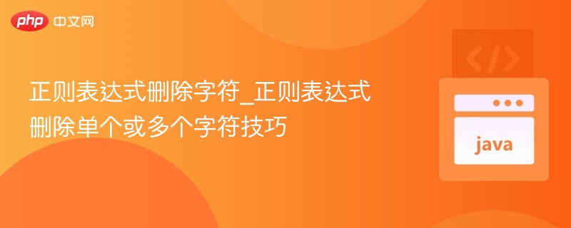 正则表达式删除字符_正则表达式删除单个或多个字符技巧