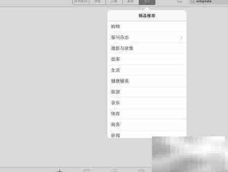 iPad下载杂志全攻略