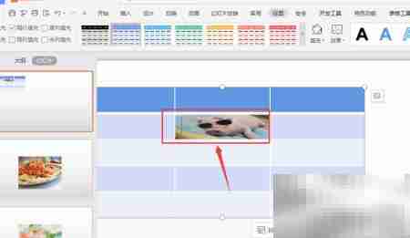 WPS幻灯片表格图片填充技巧