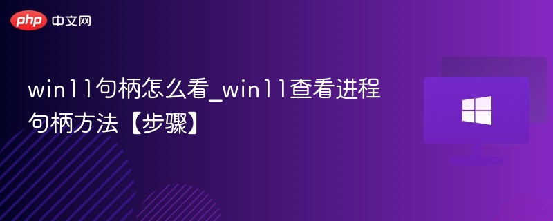 win11句柄怎么看_win11查看进程句柄方法【步骤】