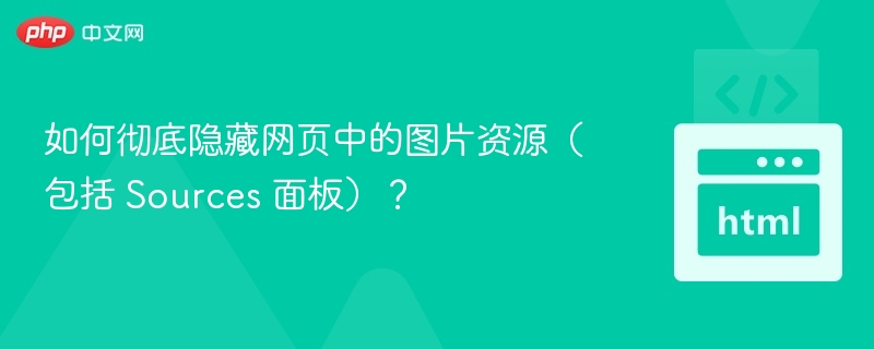 如何彻底隐藏网页中的图片资源（包括 Sources 面板）？
