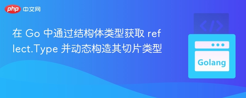 在 Go 中通过结构体类型获取 reflect.Type 并动态构造其切片类型
