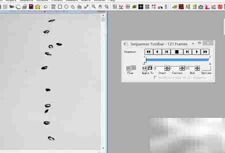 Image-Pro Plus 6.0 技巧精要