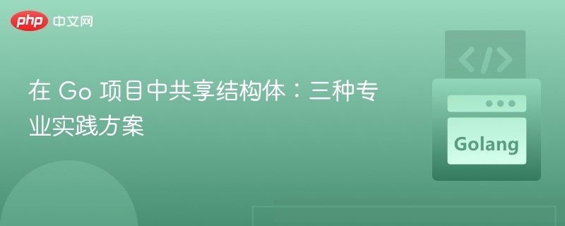 在 Go 项目中共享结构体：三种专业实践方案
