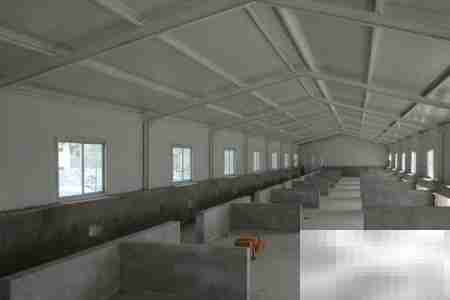 养猪场管理四大关键