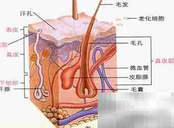 超声刀副作用三步解析