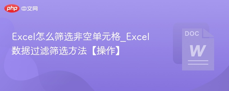 Excel怎么筛选非空单元格_Excel数据过滤筛选方法【操作】