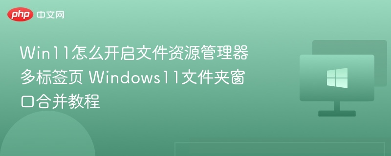 Win11怎么开启文件资源管理器多标签页 Windows11文件夹窗口合并教程