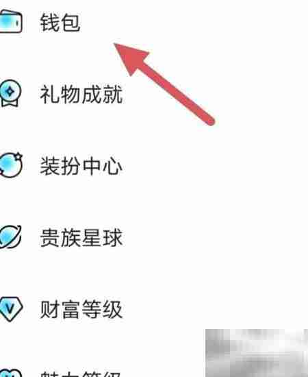 赫兹钱包查看方法