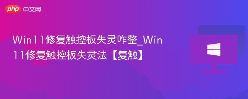 Win11修复触控板失灵咋整_Win11修复触控板失灵法【复触】