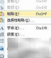 保留文本格式的技巧