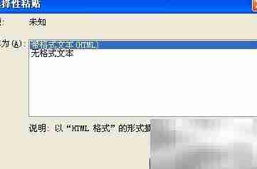 保留文本格式的技巧