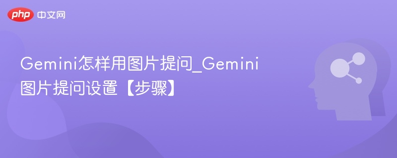 Gemini怎样用图片提问_Gemini图片提问设置【步骤】