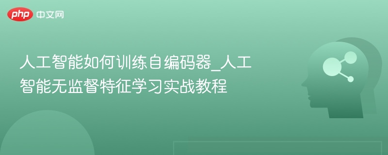 人工智能如何训练自编码器_人工智能无监督特征学习实战教程