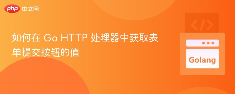 如何在 Go HTTP 处理器中获取表单提交按钮的值
