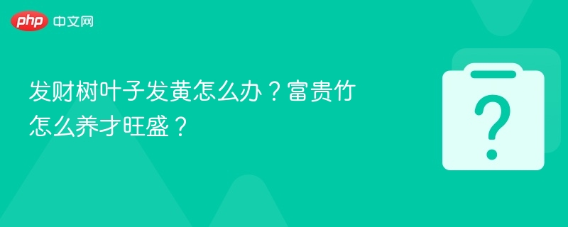 发财树叶子发黄怎么办？富贵竹怎么养才旺盛？