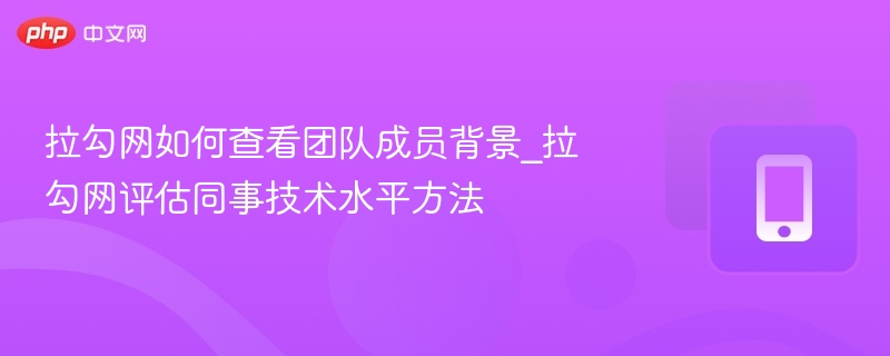 拉勾网如何查看团队成员背景_拉勾网评估同事技术水平方法