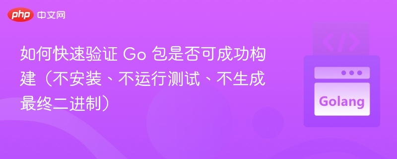 如何快速验证 Go 包是否可成功构建（不安装、不运行测试、不生成最终二进制）
