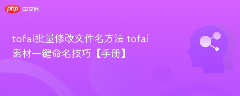 tofai批量修改文件名方法 tofai素材一键命名技巧【手册】