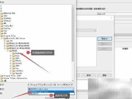 SQL2008数据库手动恢复