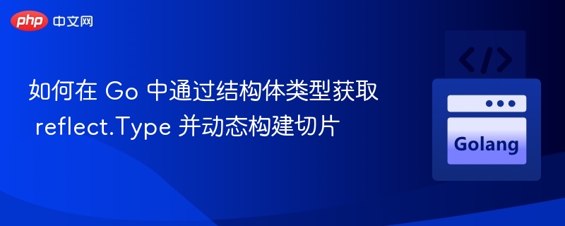 如何在 Go 中通过结构体类型获取 reflect.Type 并动态构建切片