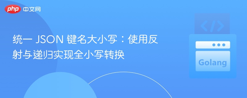 统一 JSON 键名大小写：使用反射与递归实现全小写转换
