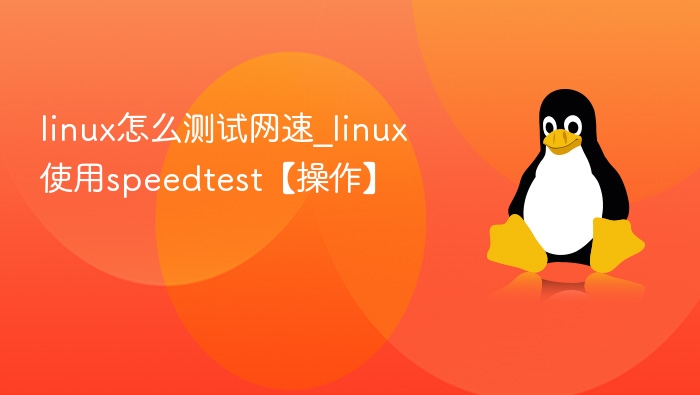 linux怎么测试网速_linux使用speedtest【操作】