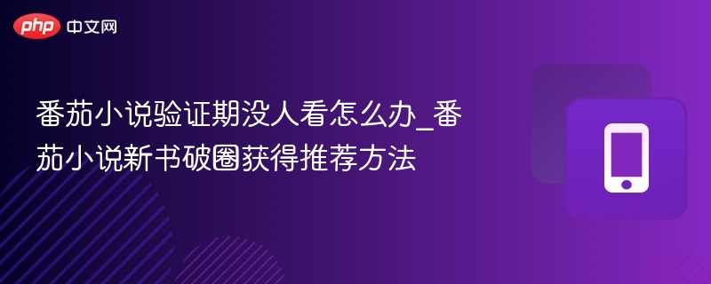 番茄小说验证期没人看怎么办_番茄小说新书破圈获得推荐方法
