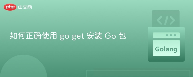如何正确使用 go get 安装 Go 包