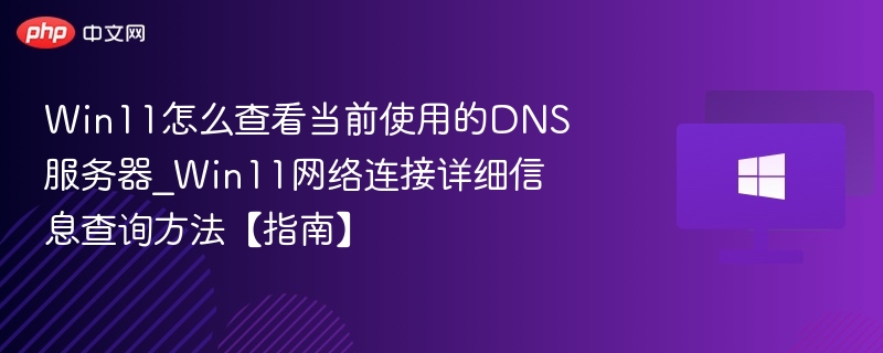 Win11怎么查看当前使用的DNS服务器_Win11网络连接详细信息查询方法【指南】