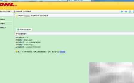 DHL报销单登录申请指南