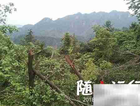 鸣凤村2018乡村游散记