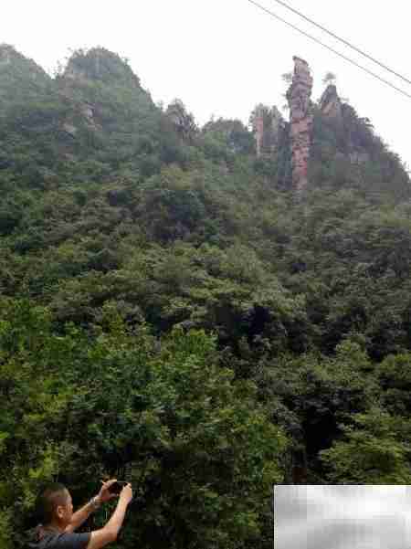 鸣凤村2018乡村游散记