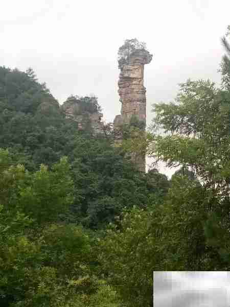 鸣凤村2018乡村游散记