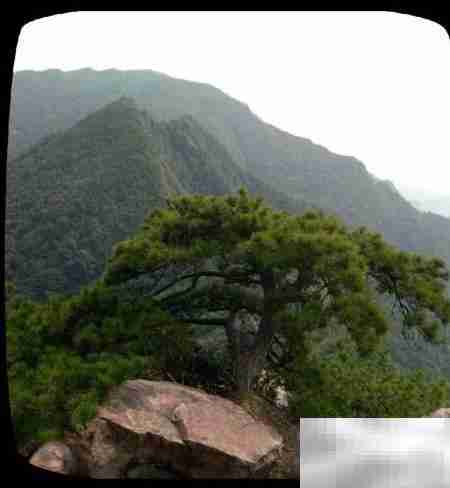 鸣凤村2018乡村游散记