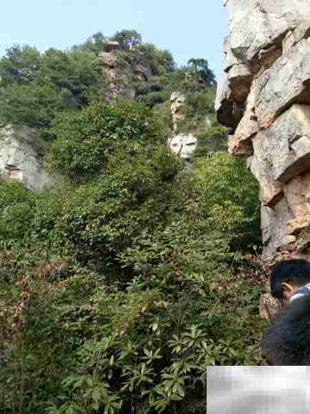 鸣凤村2018乡村游散记