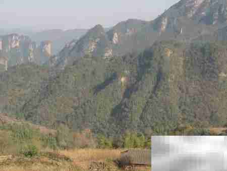 鸣凤村2018乡村游散记