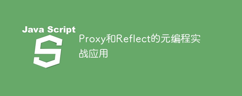 Proxy和Reflect的元编程实战应用