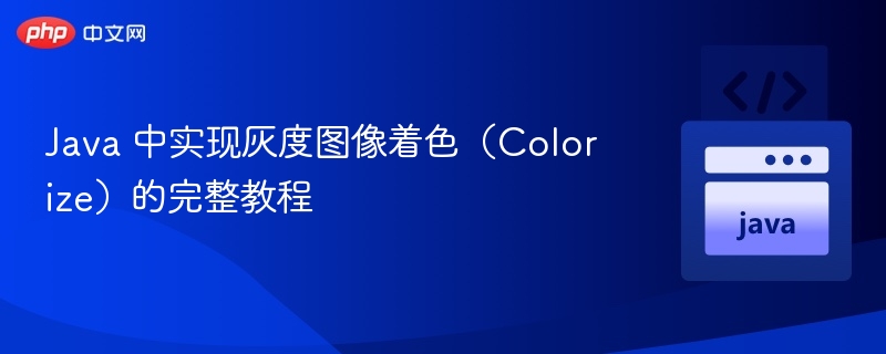 Java 中实现灰度图像着色（Colorize）的完整教程
