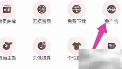 网易云VIP与黑胶VIP区别详解