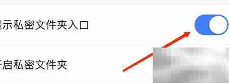 WPS秘密文件入口设置方法