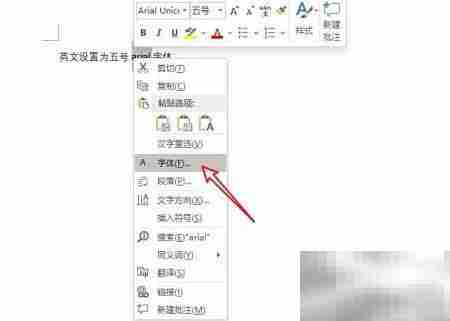 英文五号Arial字体设置