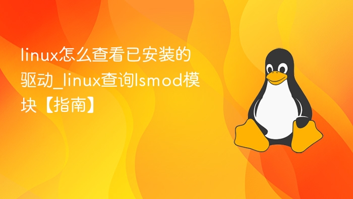 linux怎么查看已安装的驱动_linux查询lsmod模块【指南】