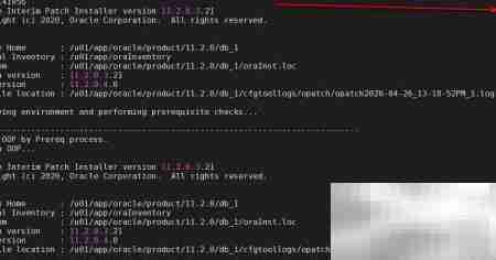 Oracle集群补丁实施指南