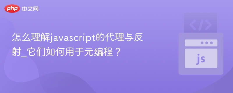 怎么理解javascript的代理与反射_它们如何用于元编程？